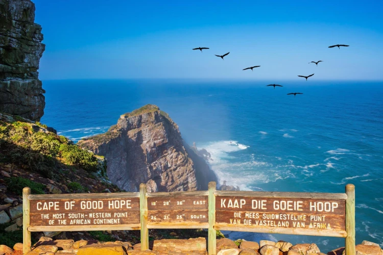 Cape Point & Peninsula Tour