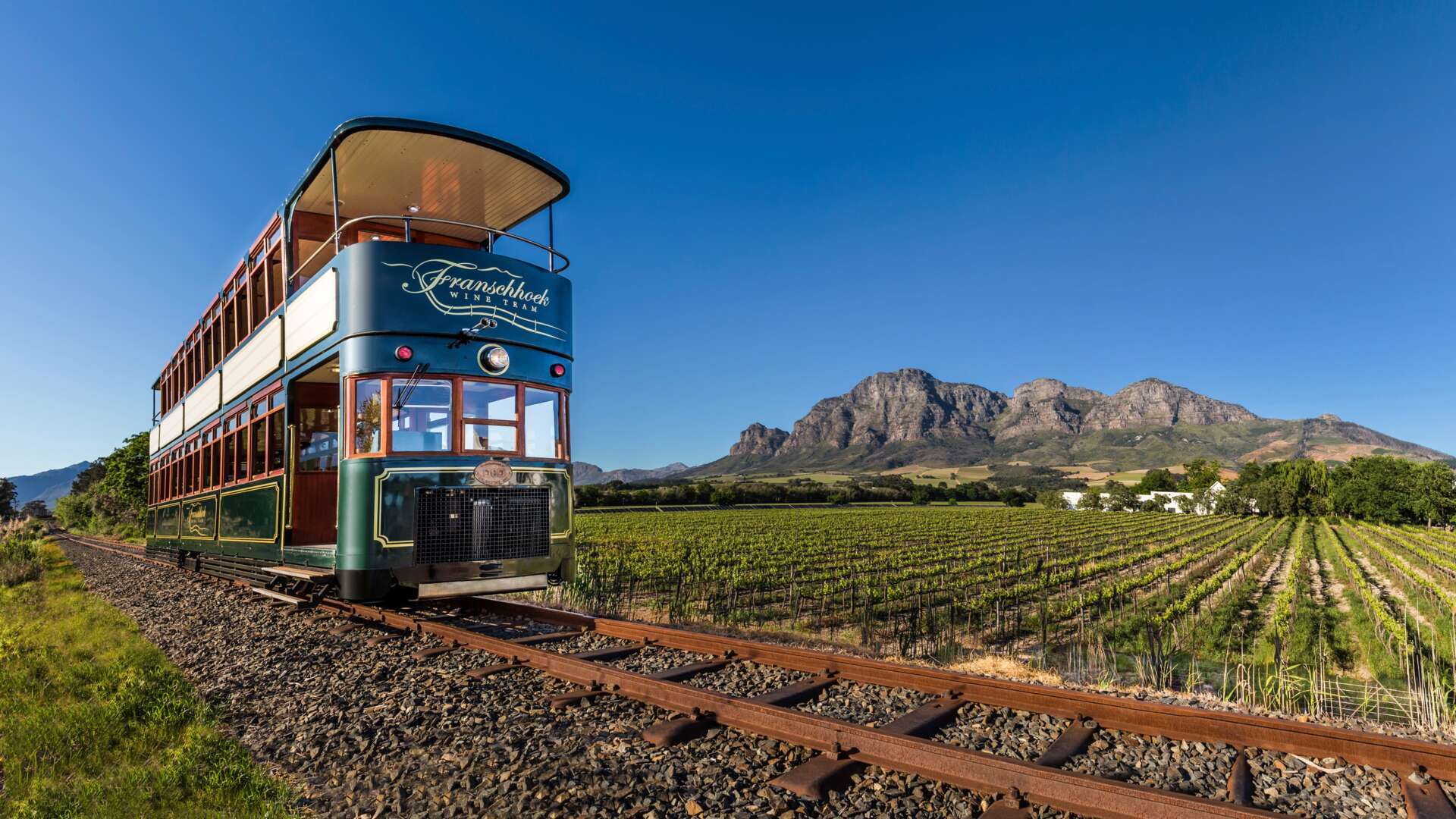 Cape Winelands Day Tour