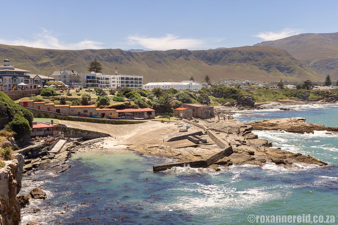 Hermanus Coastal Tour