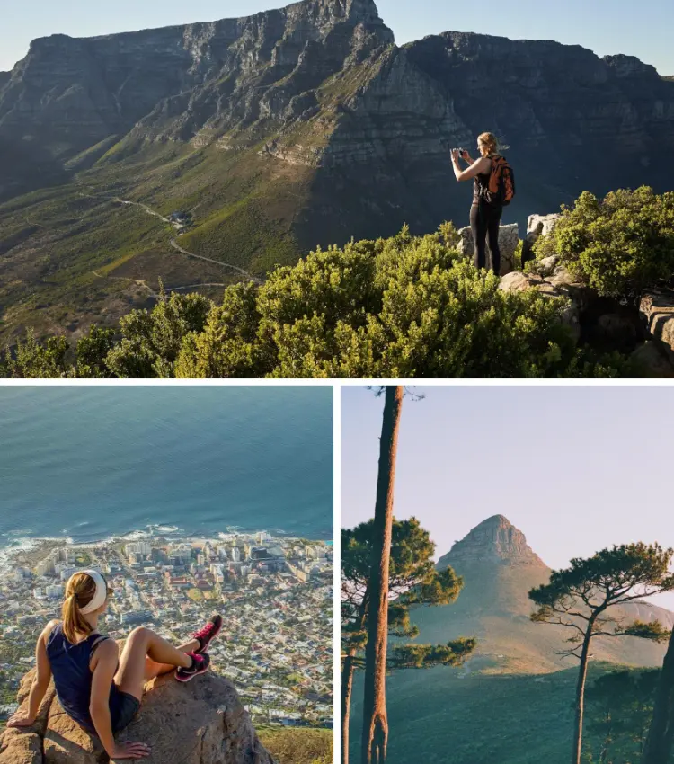 Hermanus Coastal Tour