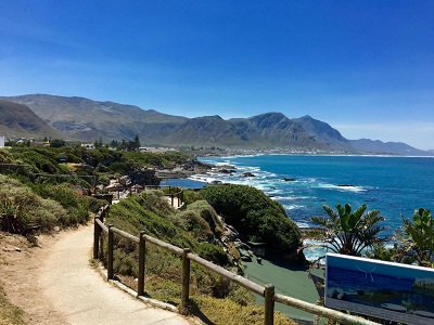 Hermanus Coastal Tour