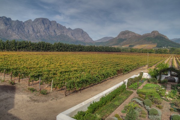 Franschhoek Wine Tram