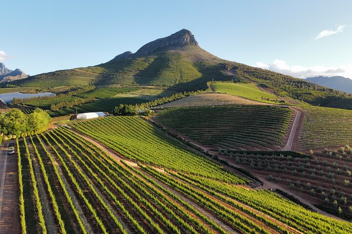Paarl and boutique wineries