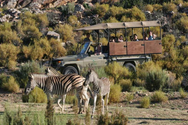 Big Five Game Reserves