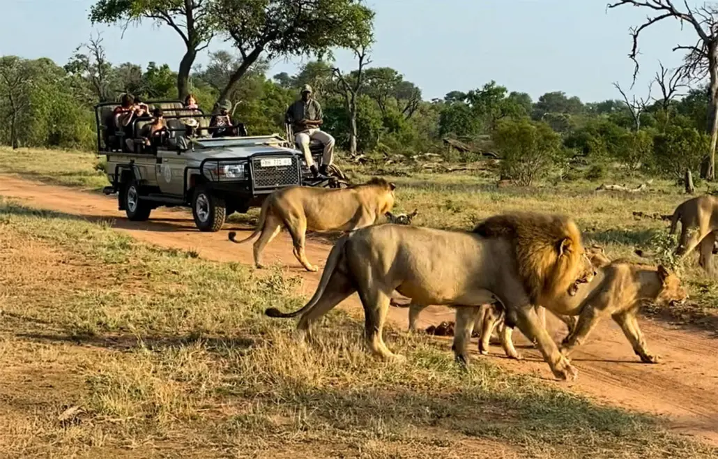 Big Five Game Reserves