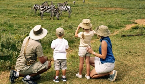 Family-friendly wildlife experiences