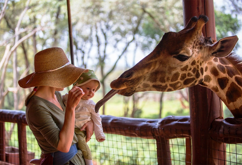 Family-friendly wildlife experiences